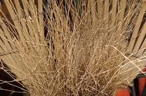 お店のPRには素敵な看板を作ろう