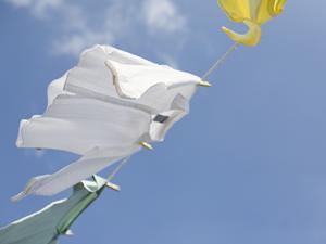 初めてでも簡単に見積もりがとれる