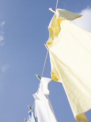 焼酎グラスを通販で購入するなら