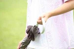 樹木の剪定を業者に依頼して行ってもらう