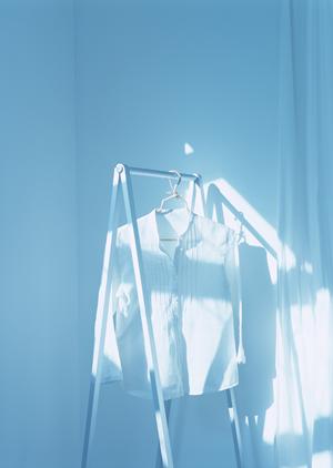 広島でコウモリの出現を防ぐ方法